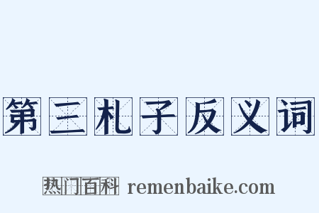 第三札子反义词是什么意思的图片